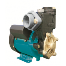 WASSER POMPA PW-131 E